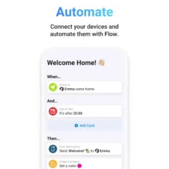 Athom Homey Bridge Smarta hem-controller