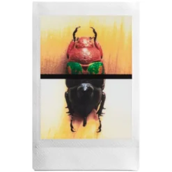 Fujifilm Instax Mini Evo Svart