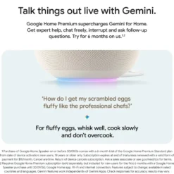 Google Home Speaker smart högtalare med Gemini Hazel