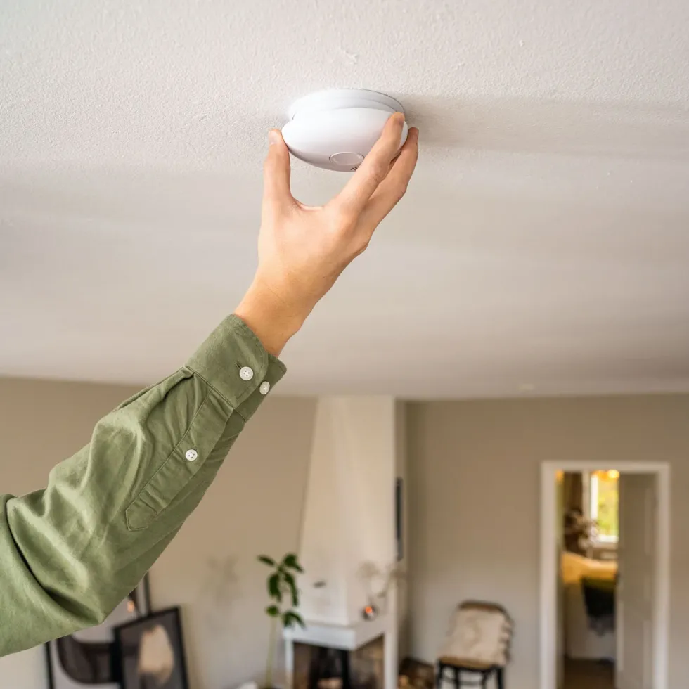 Housegard Pebble 10 Optisk brandvarnare