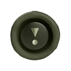 JBL Flip 6 Portabel trådlös högtalare Grön