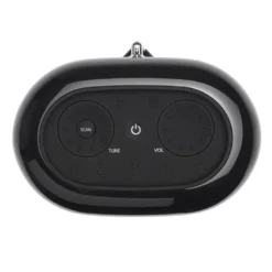 JBL Tuner XL Radio med Dab+ och Bluetooth
