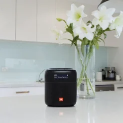 JBL Tuner XL Radio med Dab+ och Bluetooth