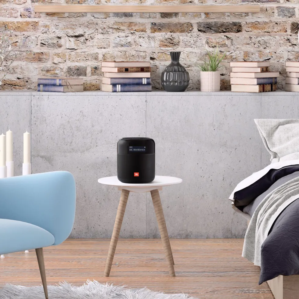 JBL Tuner XL Radio med Dab+ och Bluetooth