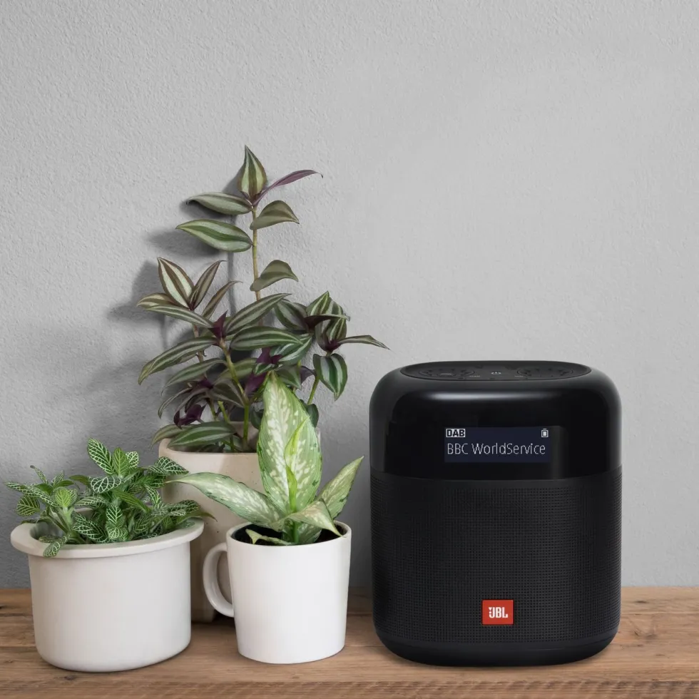 JBL Tuner XL Radio med Dab+ och Bluetooth