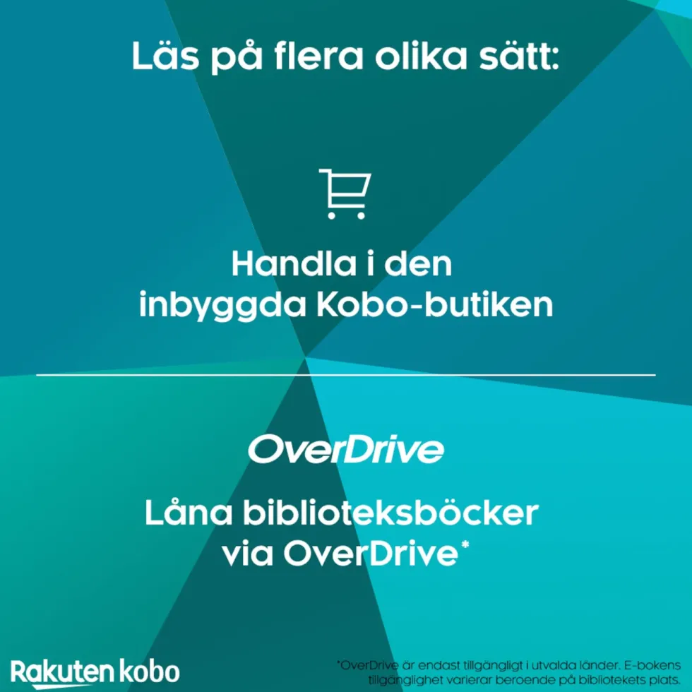 Kobo Notebook Elipsa 2E med Kobo Stylus 2