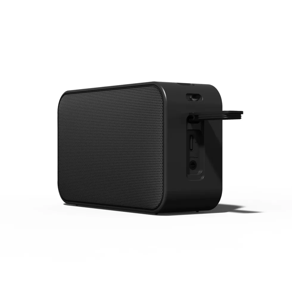 Nomadelic Loud 700 Trådlös högtalare