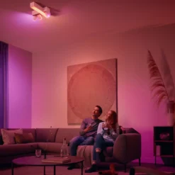 Philips Hue Dim Switch v2 Fjärrkontroll