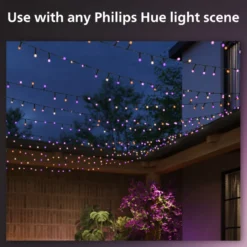 Philips Hue Festavia Ljusslinga 500 LED