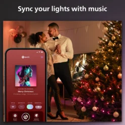 Philips Hue Festavia Ljusslinga 500 LED