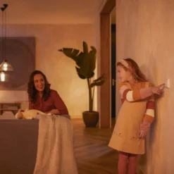 Philips Hue Väggbrytarmodul 1-pack