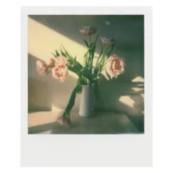 Polaroid Film till Polaroid Now och Onestep 2 i-Type Färg