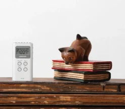 Sangean DT-120 II FM-radio med digital tuner