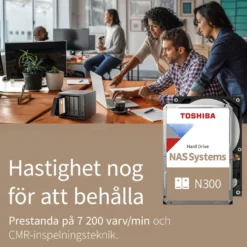 Toshiba N300 Hårddisk för NAS 3,5
