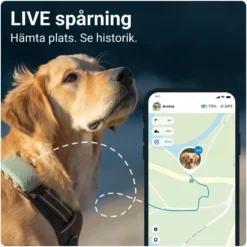 Tractive DOG XL GPS-tracker för hund