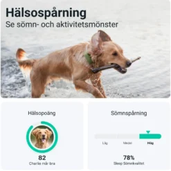 Tractive DOG XL GPS-tracker för hund