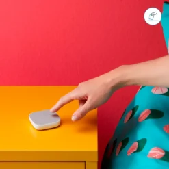 WiZ Portable Button Fjärrkontroll