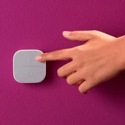 WiZ Portable Button Fjärrkontroll